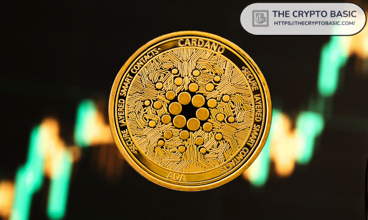 Catalysts Keeping Cardano Investors Bullish Despite Recent ADA Price Declin