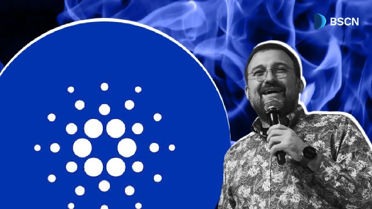 What Did Six Years of Cardano Staking Get Right?