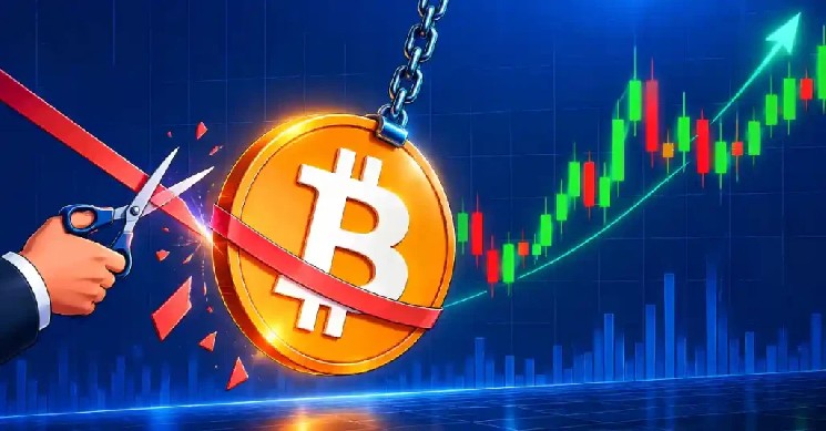 The Cost of Missing Out: Why Bitcoin Market Timing Fails