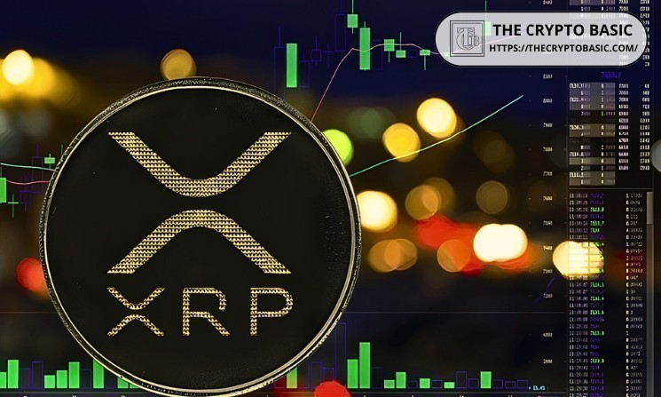 Stop Chasing Hype, Focus on XRP That Will Survive the Next Five Years: Finance Coach
