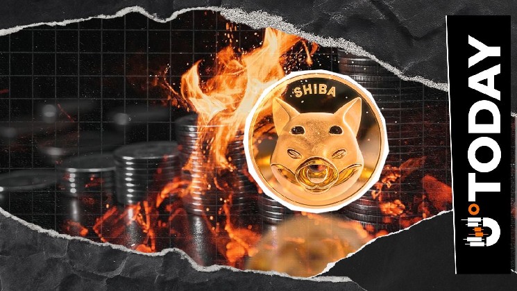 Shiba Inu Network Rebounds Amid 11 Million SHIB Burn