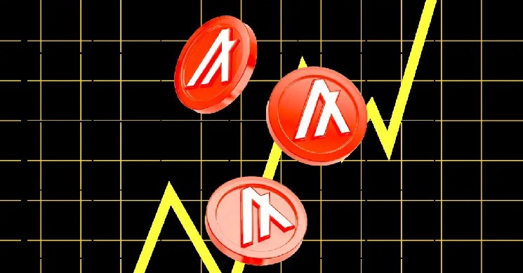 Algorand Cuts 25% of Staff the Day After SEC Confirms ALGO Is Not a Security