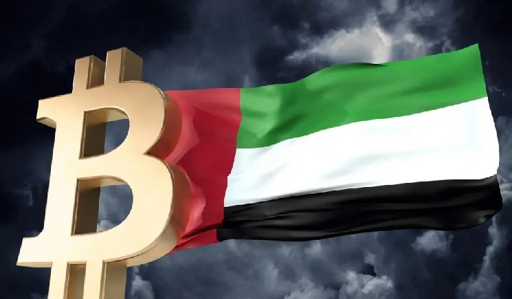 Abu Dhabi’s Sovereign Wealth Funds Reveal Their Bitcoin Holdings—Did They Sell or Buy?