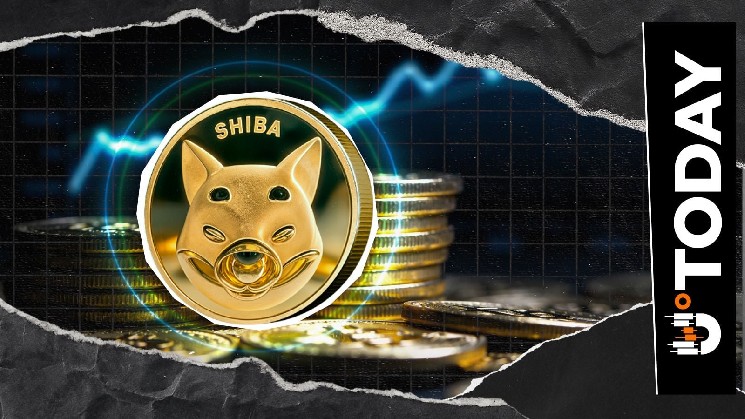 Shiba Inu Trading Volume Soars 171% After Launch on Solana