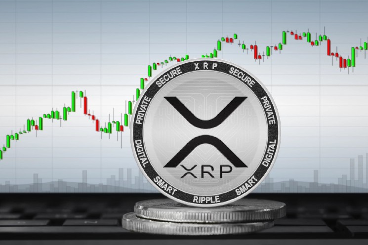 XRP Whales Absorb 72 Million More Coins as ETFs Drop Below $1 Billion Net