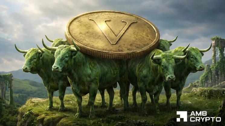 VIRTUAL bulls step in as users retreat – But THESE risks shadow 11% rally