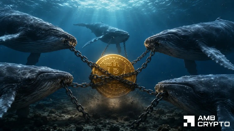 Analyzing Bitcoin’s 15% June decline despite $43mln in whale buys